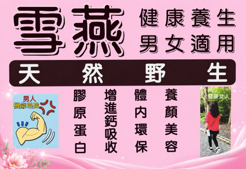 天然拉絲雪燕 10瓶1箱
