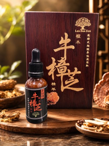 老班樟-牛樟芝精萃